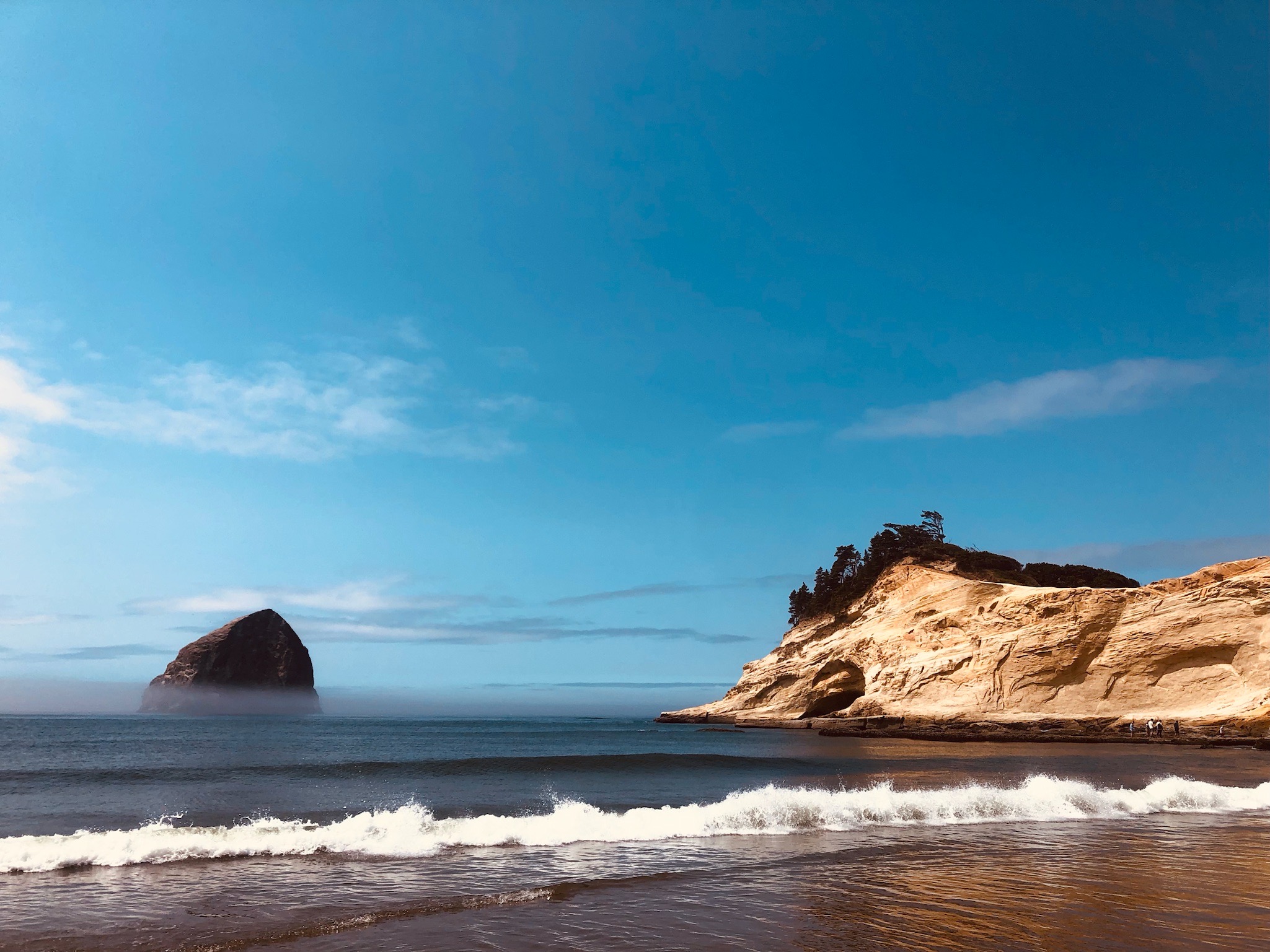 August in Maine Virtual Assistant Services